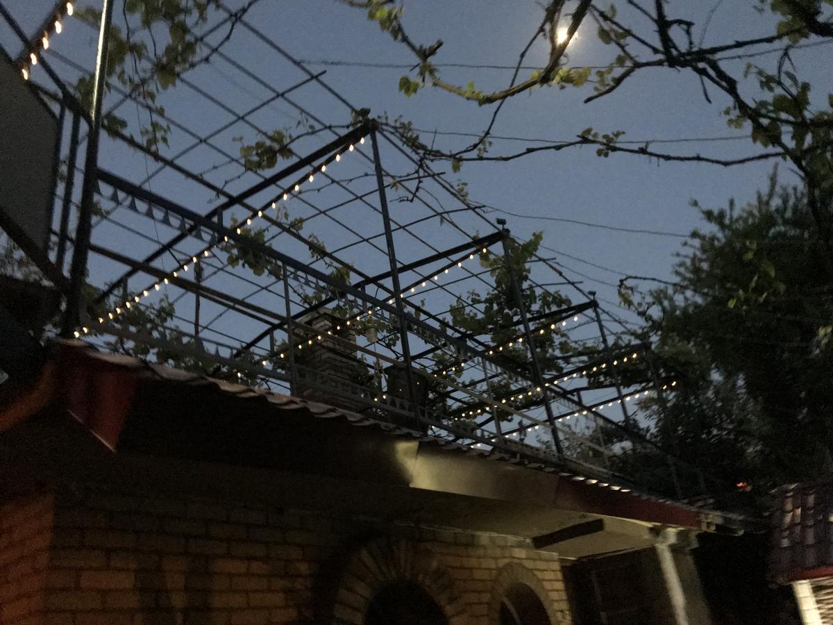 Green House In Батуми Екстериор снимка